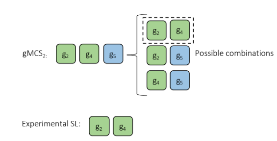 Approaches for determining the biological relevance of in-silico computed genetic Minimal Cut Sets (gMCSs) in cancer.