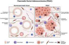 Urinary Biomarkers